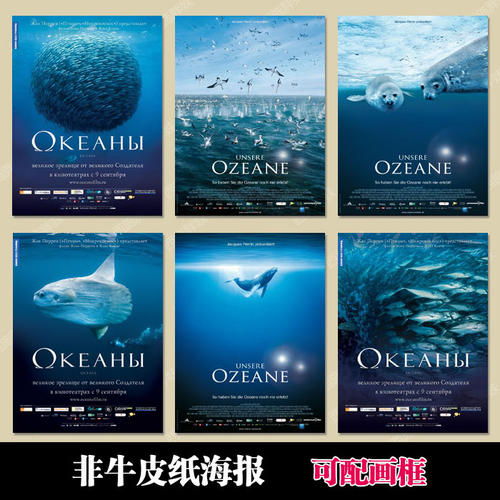 怎样报考国际驾照怎么申请流程